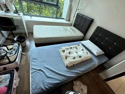 Hundred Trees (D5), Condominium #501758831